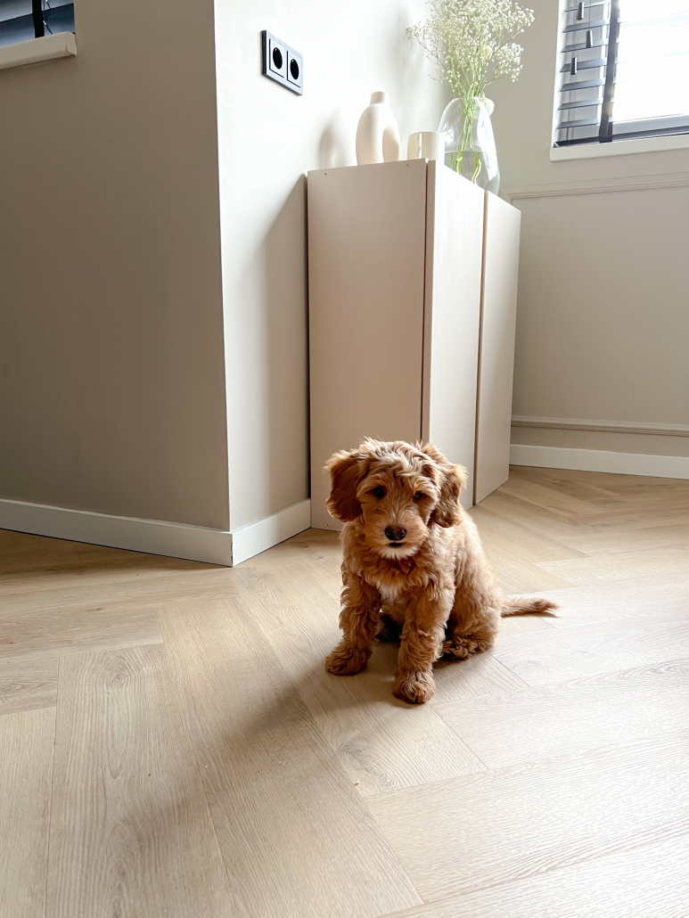Luxury Floors Visgraat XL Sneke Eik
